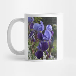 Beautiful Mug